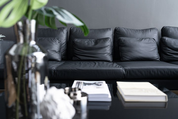 Cozy black leather sofa in composition with minimal black and white floor lamp with gray painted wall background and artificial plant in glass vase in the front / Cozy Intetrior concept /minimal style