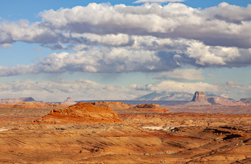 Arizona Vista