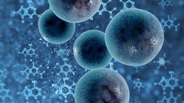 division of cells of the virus on a cyclic medical and scientific background