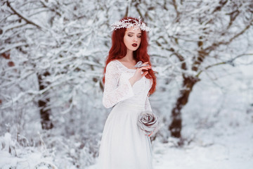 Obraz na płótnie Canvas snow fairy