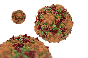 Coxsackievirus crystal structure virus