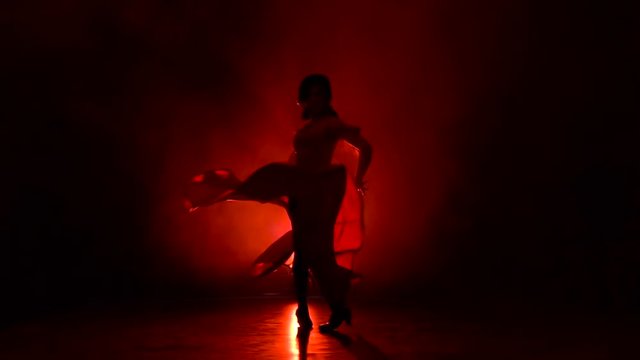 Dancer of Argentine flamenco. Red background. Silhouette. Slow motion