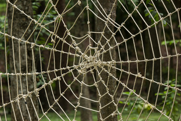 Cobweb rope for Outdoor Children Playground