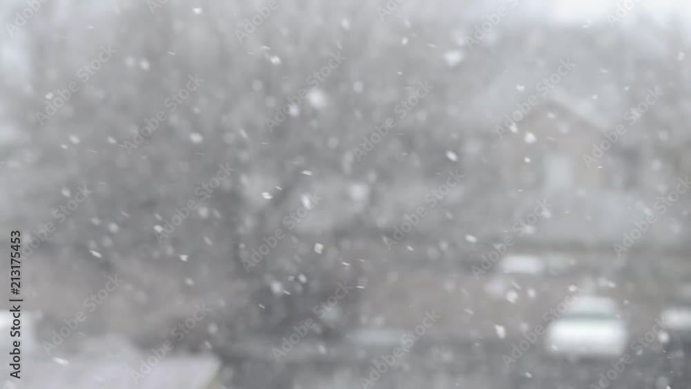 Poster close up of snow falling with a shallow depth of field at 120 frames per second.