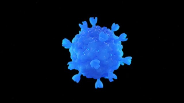 Human Spiroplasm virus. Structure of the spiroplasm virus. 
