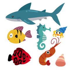 marine life vector collection design