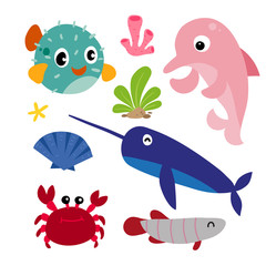 marine life vector collection design