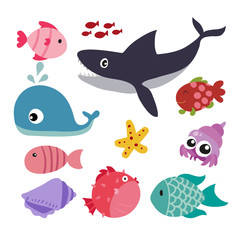 marine life vector collection design © terdpong2