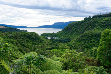 Lake Tarawera lookout near Rotorua