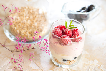 Homemade yogurt with granola, dried fruit and nuts bio with most healthy seed.