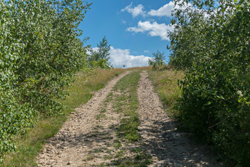 Fototapeta na wymiar A dirt road strewn with rubble going to the hill between bushes with a blue sky in the distance with clouds visible in the distance.
