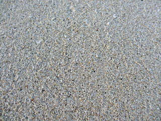 Fine Grain Beach Sand