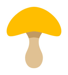 Yellow colored mushroom