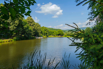 Transparent blue lake against the background of green trees and bushes in the park zone