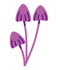 Purple colored mushroom