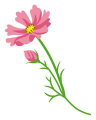 Pink colored Cosmos flower - flat clip art