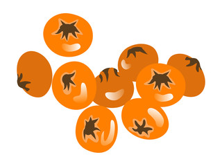 Orange colored autumn berries