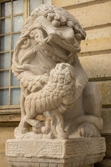 Fototapeta na wymiar Lion marble face, Chinese Lion, stone carving sculpture ,the symbol of Power