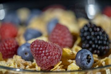 Cereals with assorted berries, extreme close up shot