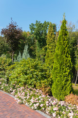 A blue cloudless sky above the green plants in the park. Seated along the path paved with figured tiles.