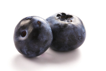 Blueberries on white background
