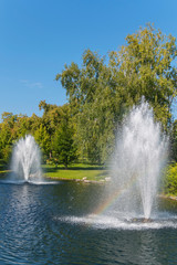 Naklejka premium transparent fountains beating from the waters of a pond with green beaches