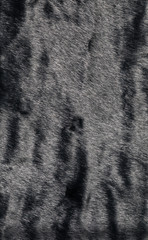 texture black fur
