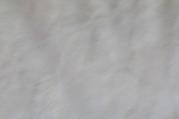 texture white fur