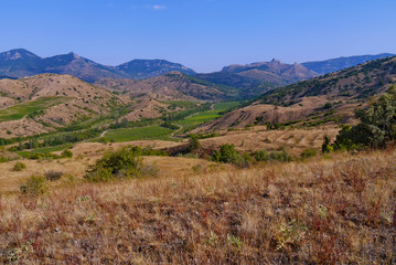 mountain landscape with a burning sun on the hills of grass and greens in the valley, against the background of the blue sky