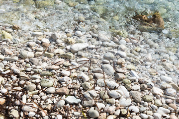shore with stones