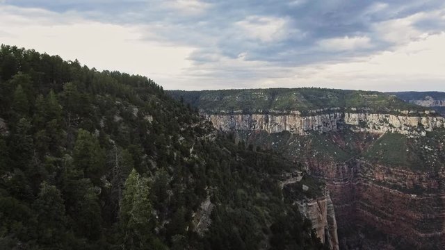 Cinematic flight over a Grand Canyon forest
