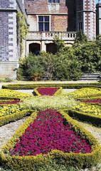 Old English Country Cottage Garden - Shot on Film