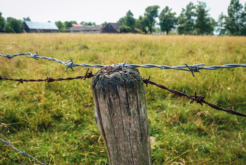 Barbed wire fence on a meadow in Masovian Voivodeship of Poland