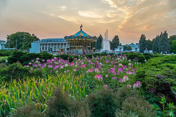 Glade with lilac flowers on a background of a carousel and a fountain