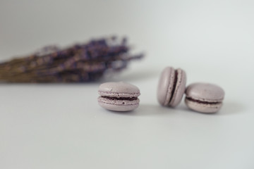 violet macaroons with violet creme on white background
