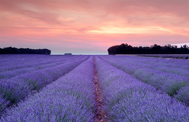 Provence sunset