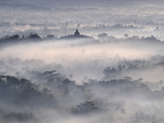 Borobudur Temple in a beautiful foggy sunrise seen from Punthuk Setumbu Hill