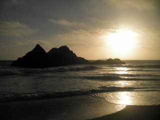 Birds flying over seal rock as waves lap on the beach