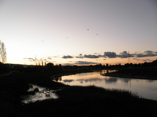 Dusk along river with birds flying in the sky