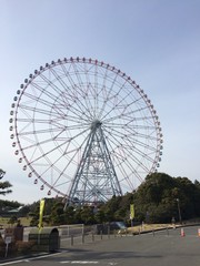 Fototapeta premium 花の大観覧車