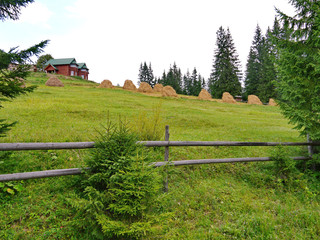 Fototapeta na wymiar Farmlands on the green slope and houses for housing in the distance