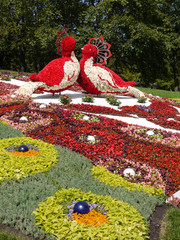 Two large birds made of flowers. In the park in the middle of the flower beds are facing each other.