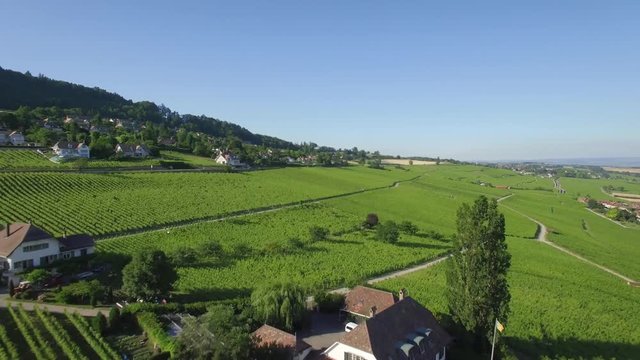 4K ungraded Aerial footage of Vineyard fields between Lausanne and Geneva in Switzerland -UHD