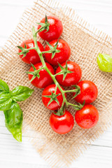 Cherry tomatoes on a branch with drops of water, macro, close up, delicious fresh harvest. Organic food