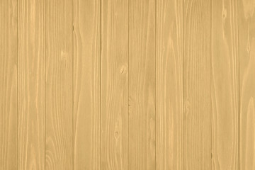 Wood texture. background old panels.