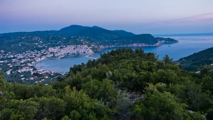 Foto op Canvas Aerial view of Skopelos harbour and town before sunrise, island of Skopelos, Greece © banepetkovic