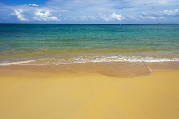 sea surf on the beach