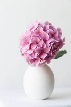 A pink hydrangea flower in a small egg shaped white vase.