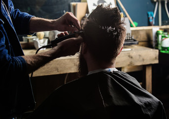 Hands of barber trimming hair of bearded guy with clipper and comb, close up rear view. Hipster...