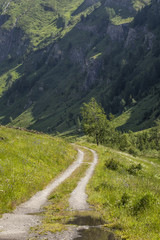 empty pathway in a mountain landscape